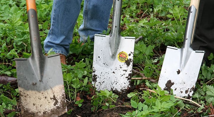 Gardening 